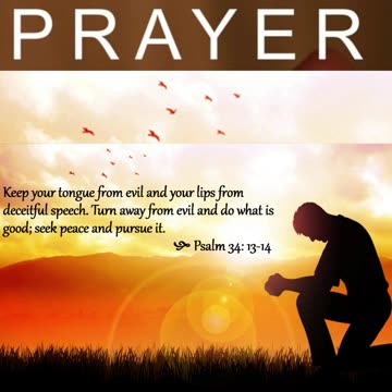 Prayer to Seek Peace #youtubeshorts #grace #jesus #mercy #faith #fyp #trust #bless #love #joy #peace