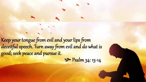 Prayer to Seek Peace #youtubeshorts #grace #jesus #mercy #faith #fyp #trust #bless #love #joy #peace