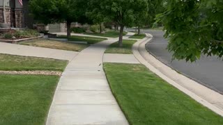 What a nice day for a walk