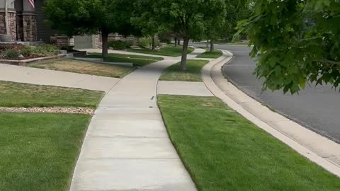 What a nice day for a walk