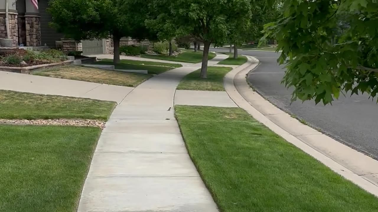 What a nice day for a walk