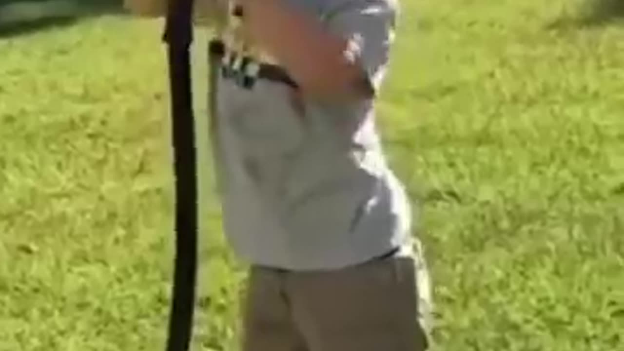 Funny Clips! 😂😂😂