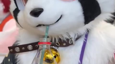 SssLord