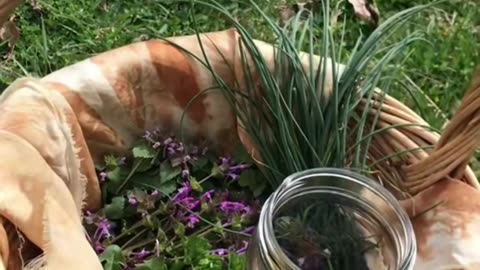 Edible medicinal plants and flowers...