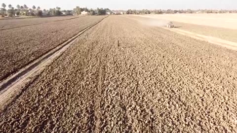 Iraq's dreams of wheat independence dashed by water crisis