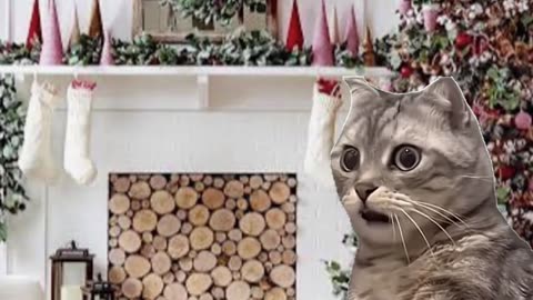 How much to spend on Christmas