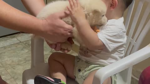 Boy Takes Food Out of His Mouth and Gives It to the Puppy