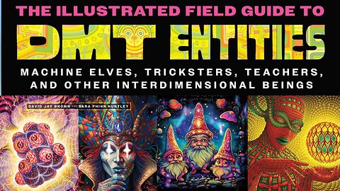 David Brown and Sarah Huntley | The Illustrated Field Guide to DMT Entities