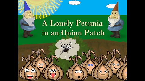 A Lonely Petunia in an Onion Patch