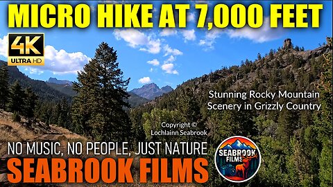 Micro Hike at 7,000 Feet: Stunning Rocky Mountain Scenery in Grizzly Country