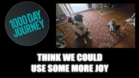 1000 Day Journey 0792 Think We Could All Use Some More Joy 