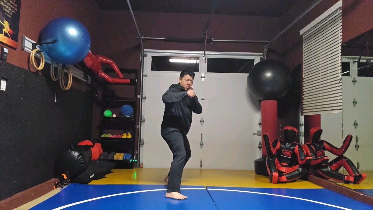 WTD 2 Step Kick Combination 89