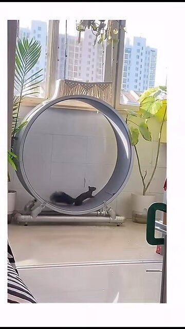 No work is happening