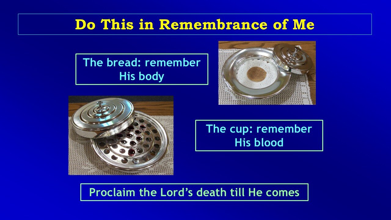 Video Bible Study: 1 Corinthians - #048