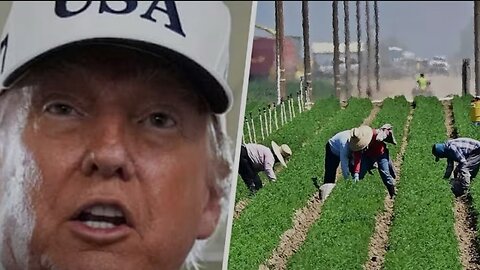 BEEFING OVER BEEF| $40 BILLION to Argentina $0 to you