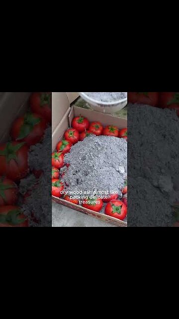 This Amish Tomato Preservation Hack Will Blow Your Mind