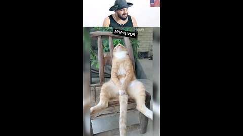 trynottolaugh part 151