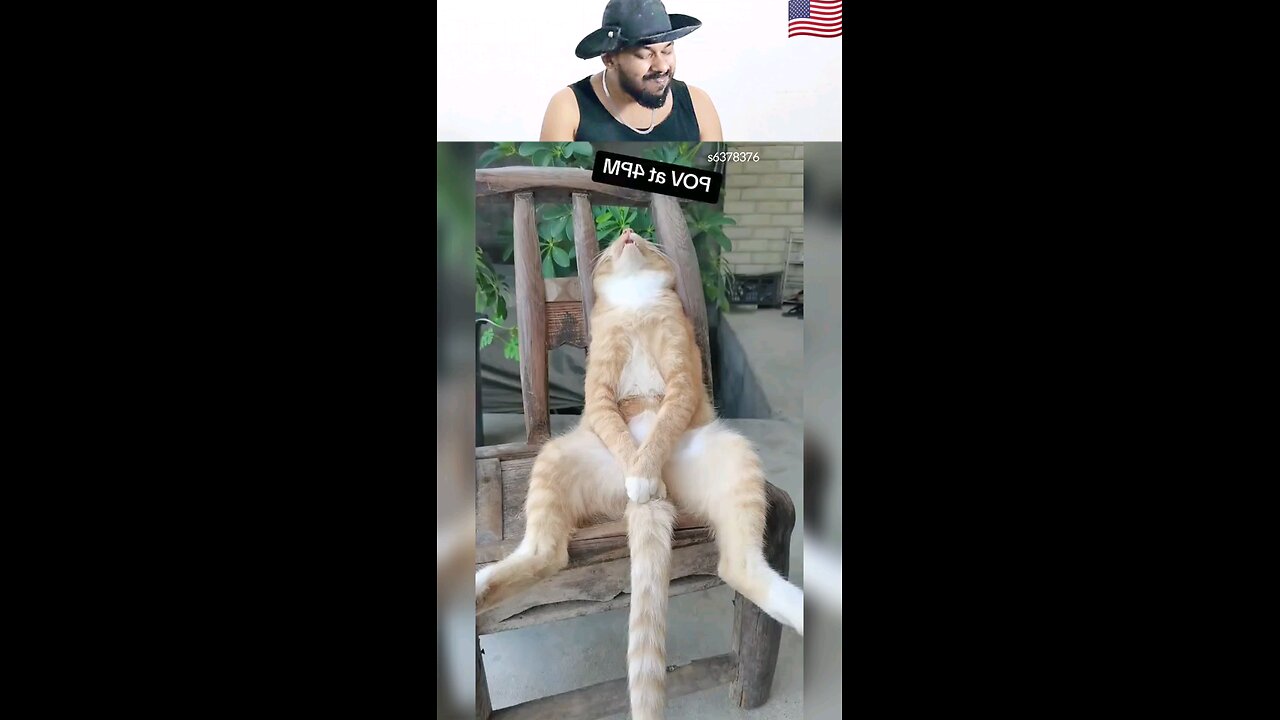trynottolaugh part 151