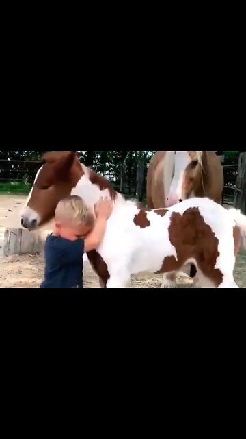 NOTHING CAN SEPARATE US - DAILY DEVOTIONAL ❤️