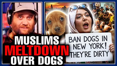 Muslims meltdown over dogs