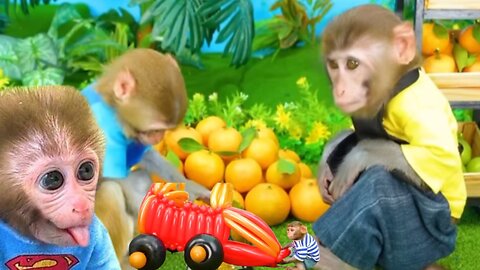 Bonmonkeykiki eating orange & park entertament of animalht vedio..