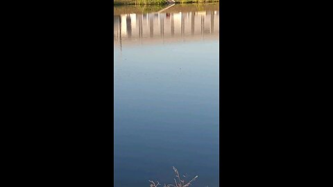 walks in nature