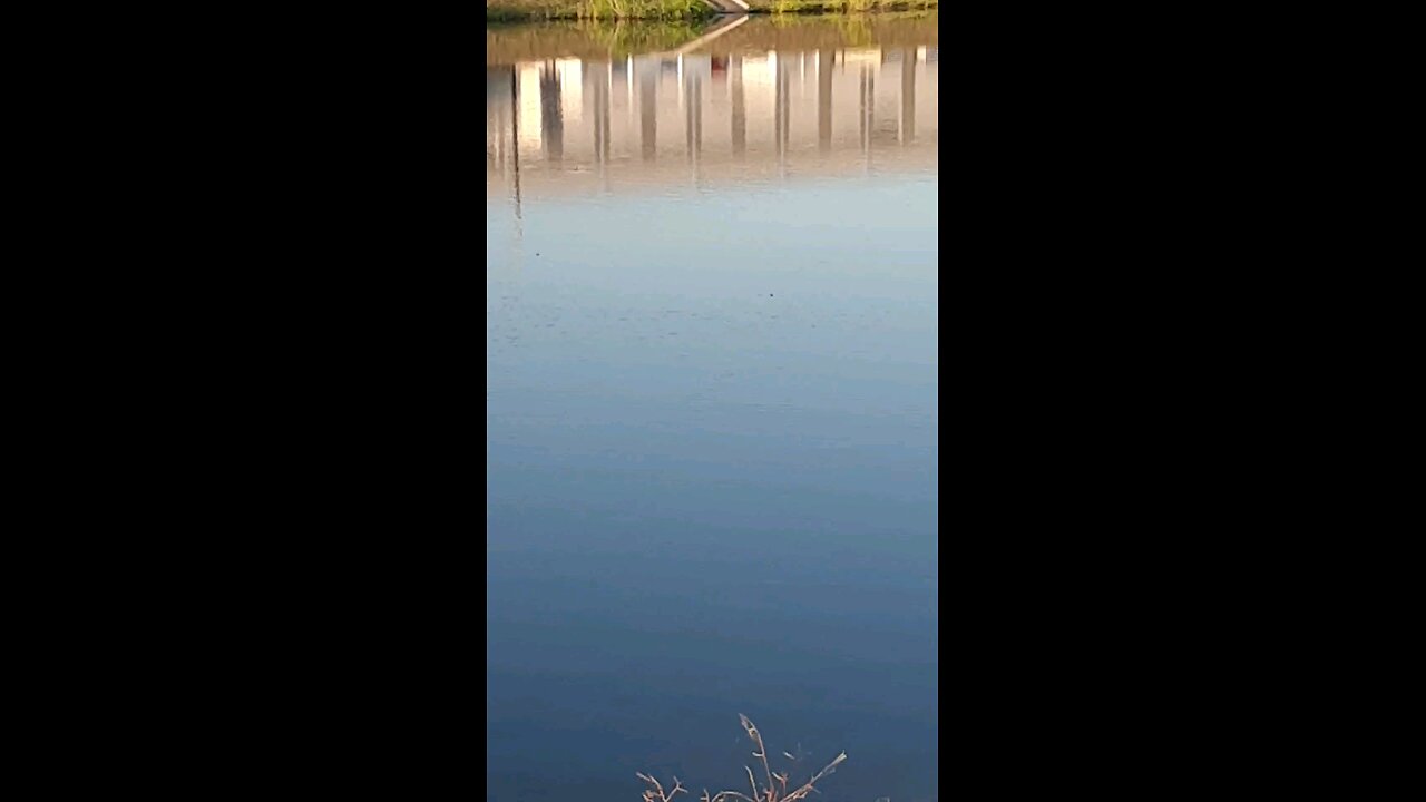 walks in nature