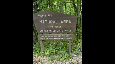 Full Video!Anderson Run Natural Area #yeshua #jesus #hiking #nature #trail #hikingtrail #naturetrail