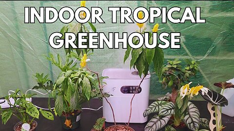 Setting up an indoor greenhouse