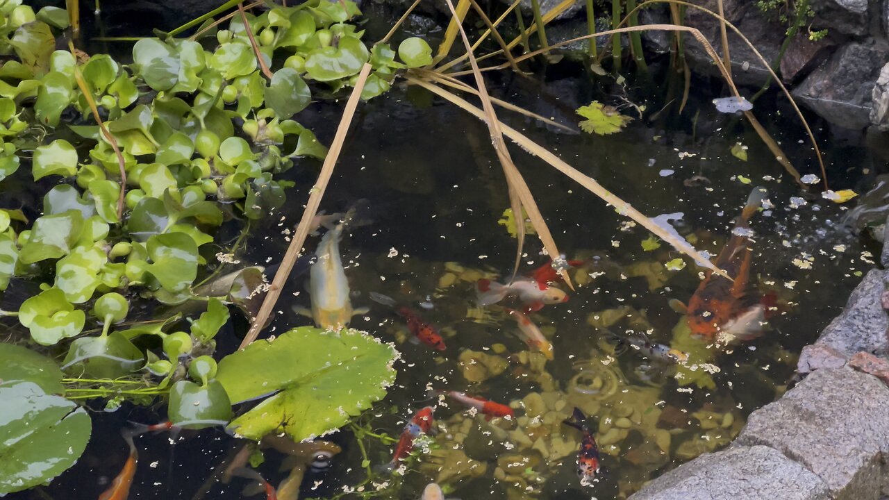 Дом у озера House by the lake