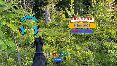 Skogpod 9. juni 2025