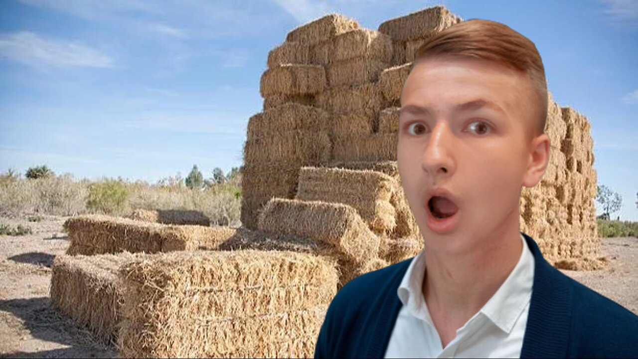 We Harvested Over 120 Hay Bales - Homesteading Health
