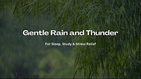 Gentle Rain and Thunder Sounds for Sleep, Relaxation, Study, Meditation & Focus | Calming Storm
