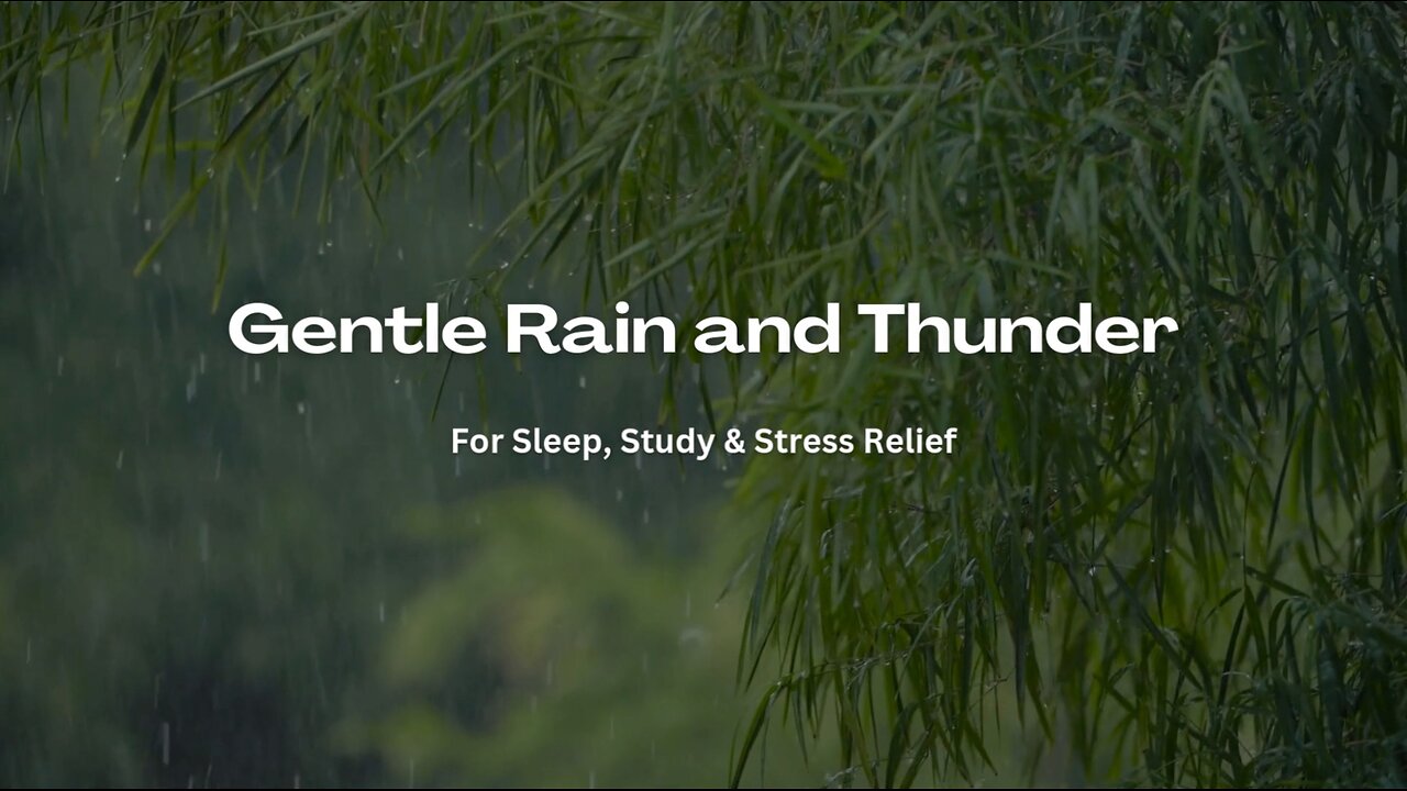 Gentle Rain and Thunder Sounds for Sleep, Relaxation, Study, Meditation & Focus | Calming Storm