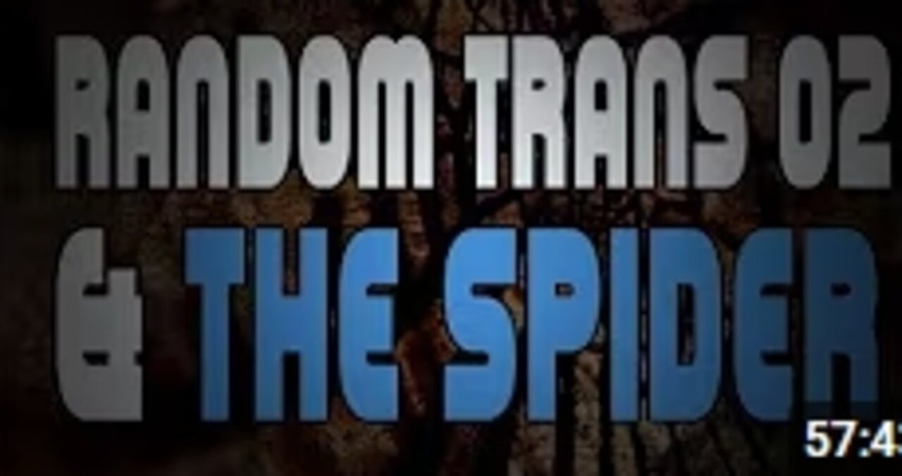 RANDOM TRANS & THE SPIDER #elitegenderinversion (le naturel mirrored)