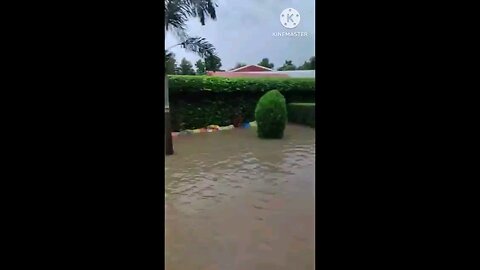 satisfying Video