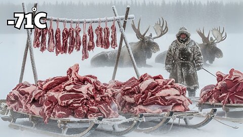 5000Kg Moose in Yakutia Survival at –71°C That Fed the Whole Village
