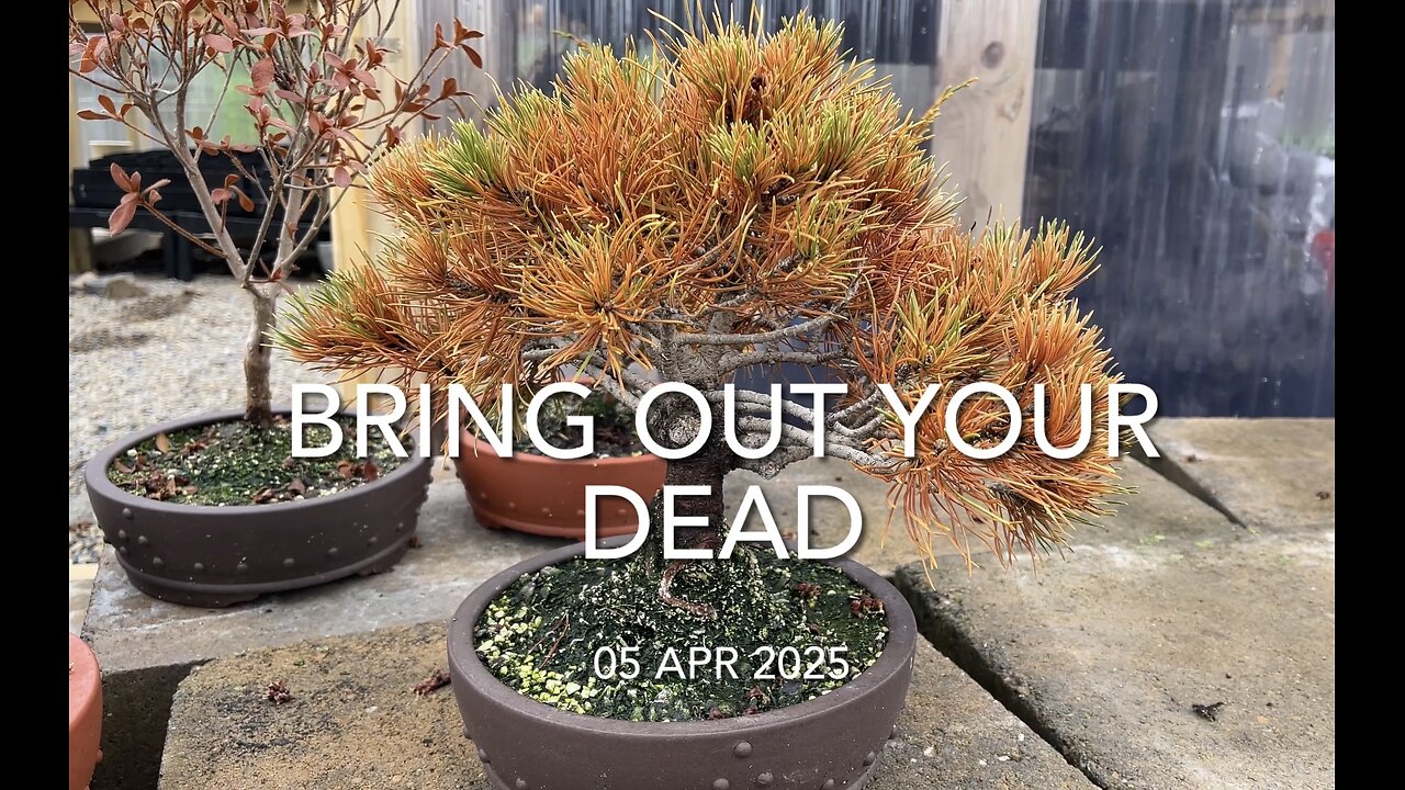 Bring out your dead