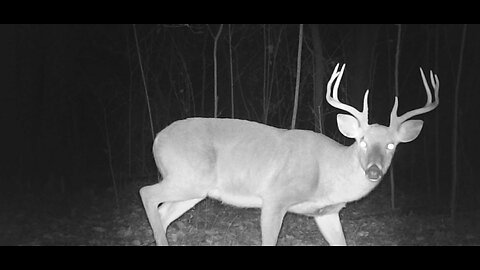 Trail Cam Tuesday, January 6, 2026