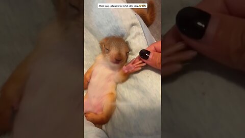 After a heavy rain in the yard the girl was brought by an unusual baby