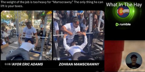 Ugandan Zohran Mamdani FAILS, Somalian Omar Fateh LOOSES, Somalian Ilhan Omar should be DEPORTED