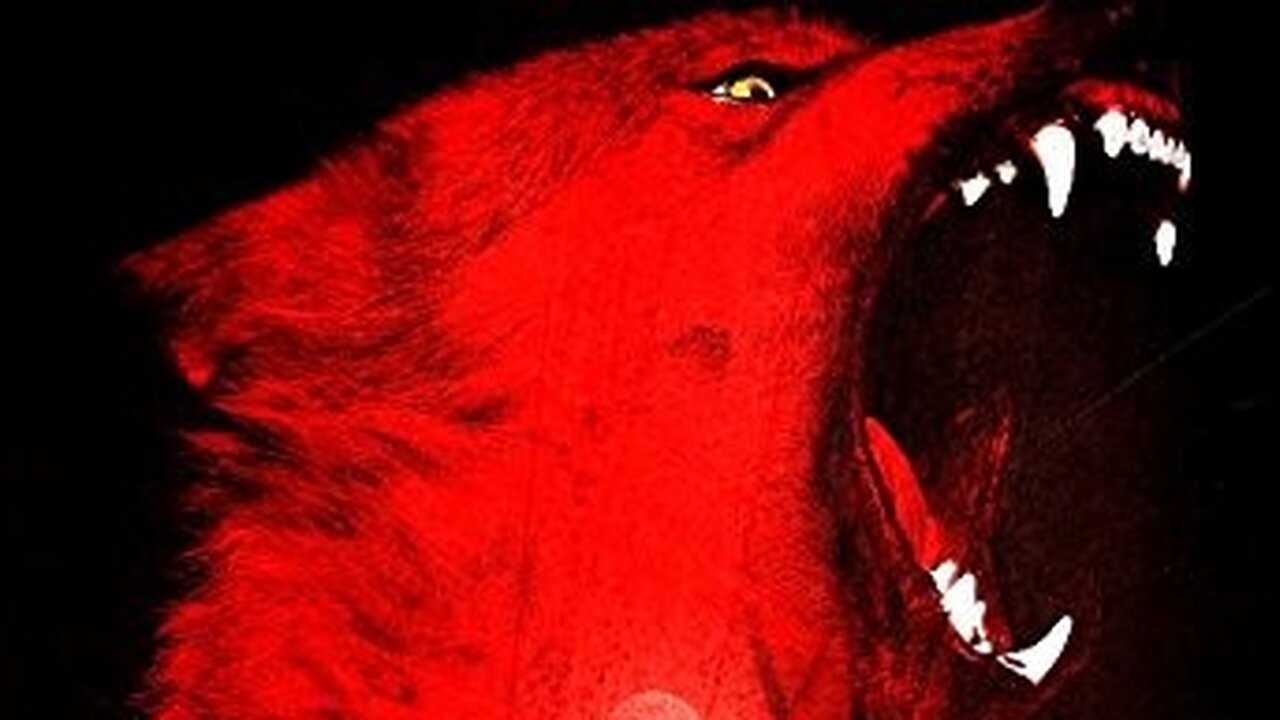 Late Phases- Nick Damici, Tina Louise-2014 IMDB 6/10