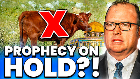 Israel 365 - Temple Institute Announces: All Texas Red Heifers Disqualified- Ep. 7121