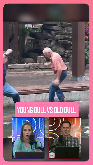 Young Bull vs. Old Bull