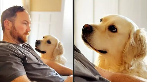 Your Daily Dose of Pets