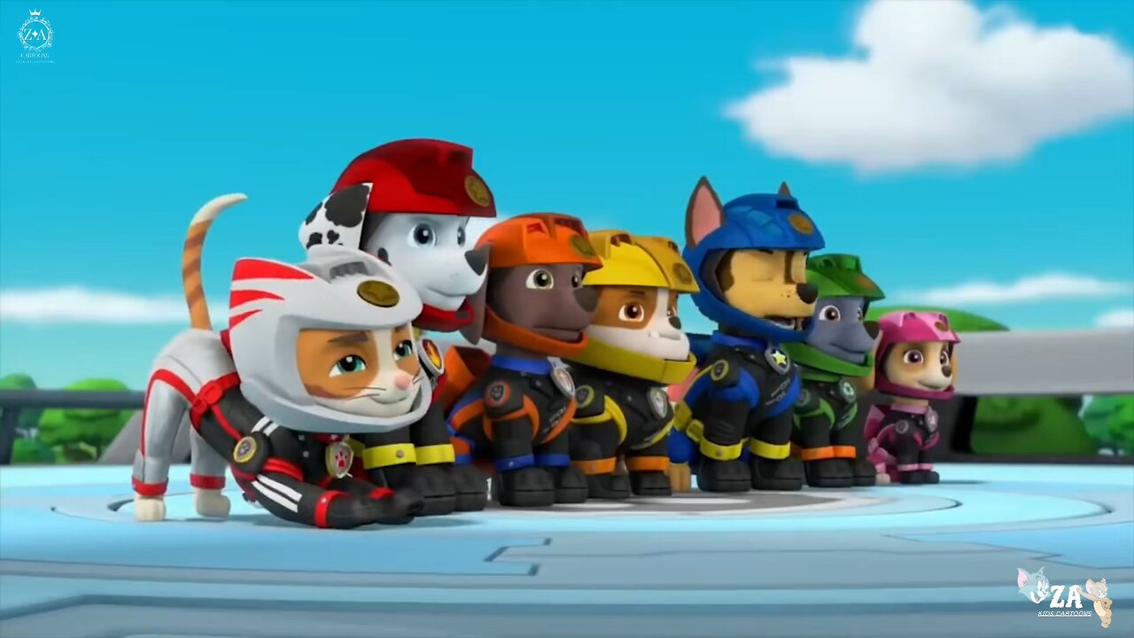 PAW Patrol Cartoons
