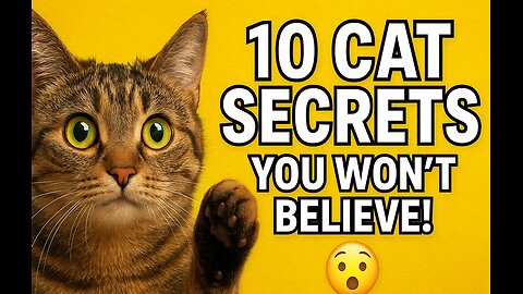 10 Cat Facts That Will Blow Your Mind! 🐾