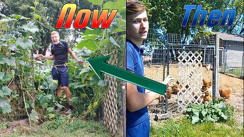 I Updated my Most Popular Shorts – Homesteading Journey