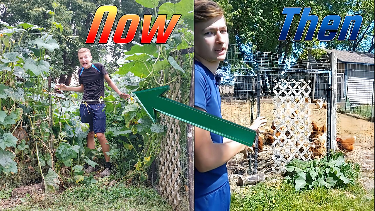 I Updated my Most Popular Shorts – Homesteading Journey