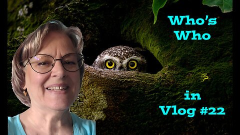 Vlog #22
